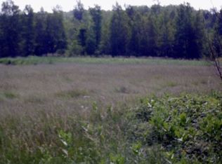 1029 Collins Mill Rd, Newport Center, VT 05857