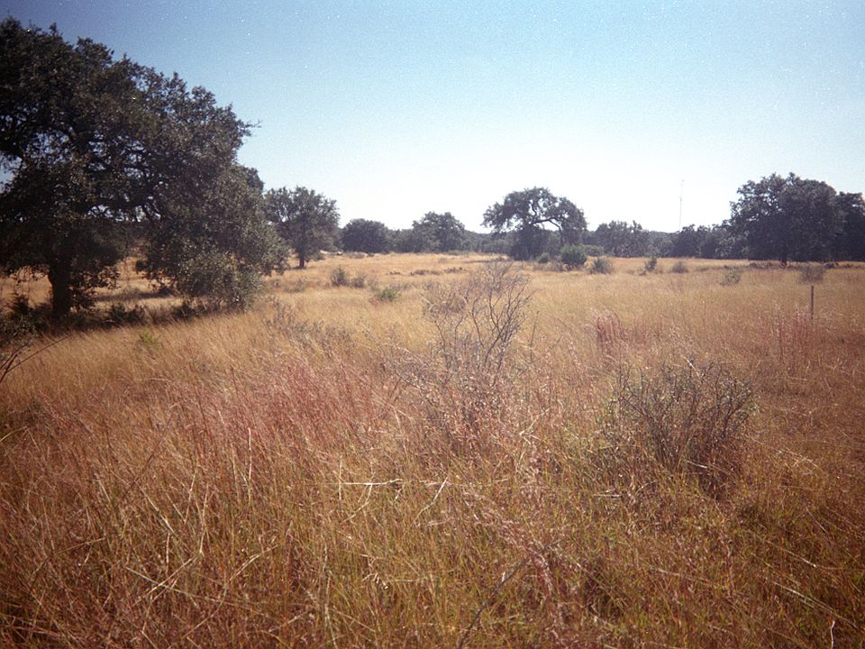 1st image of Lot 45 Cross Oak