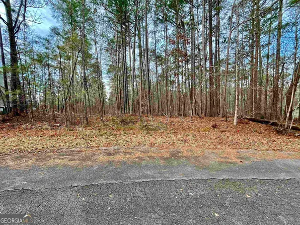 0 Purple Hawk Ct Lot 68, Monticello, GA 31064