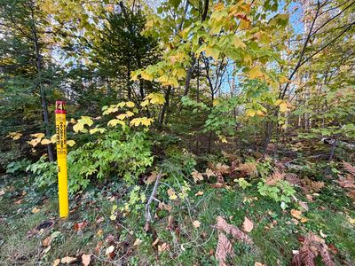 12074 E Us Highway 23, Cheboygan, MI, 49721