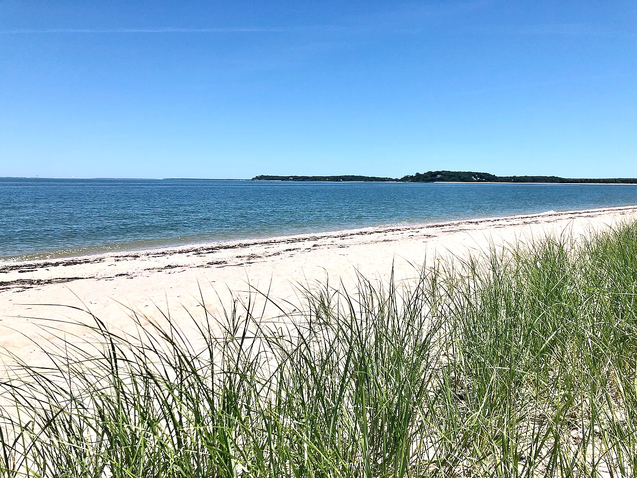 Gardinersbay Waterfront: — Photo 3