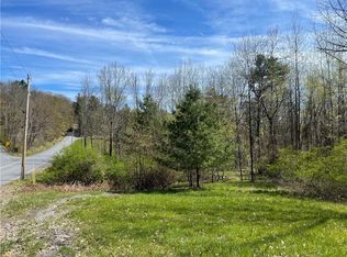 LOT 27.2 Bida Rd #27, South New Berlin, NY 13843