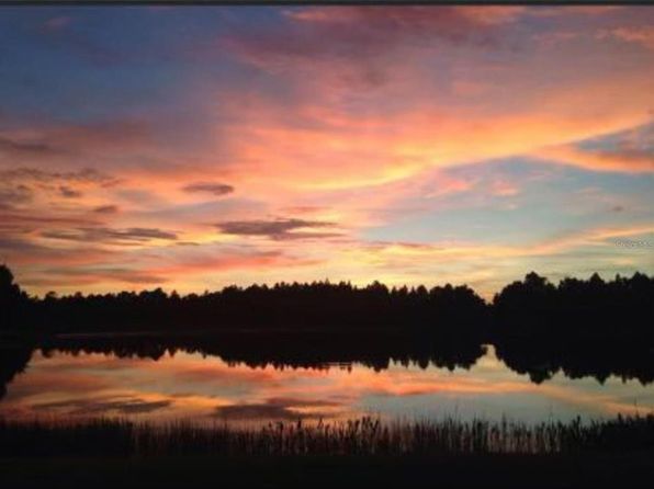 21303 Southern Charm Dr, Land O Lakes, FL 34637
