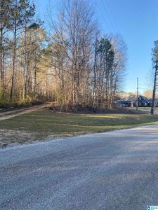 12279 County Road 59 #0, Verbena, AL, 36091