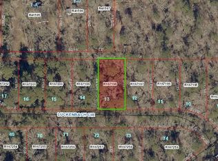 0 Luckenbach Cir, Willis, TX 77378