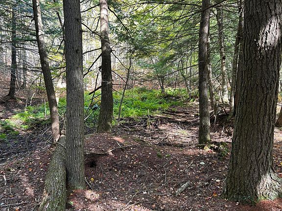 5th image of 490 Branch Mills Road