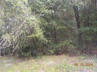 Corner Southwest Ave #100, Dunnellon, FL 34432