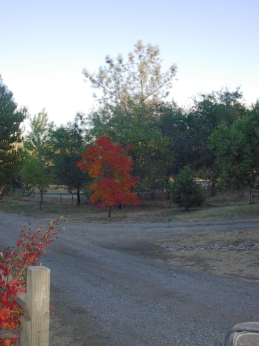 2660 Taylor Rd photo 1