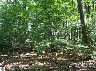 Forest Trl, Bellaire, MI 49615