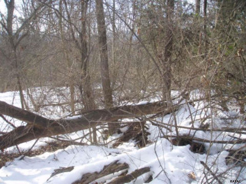2nd image of 40 Piper Dr
