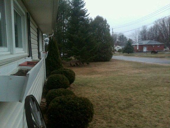 front yard with visitors