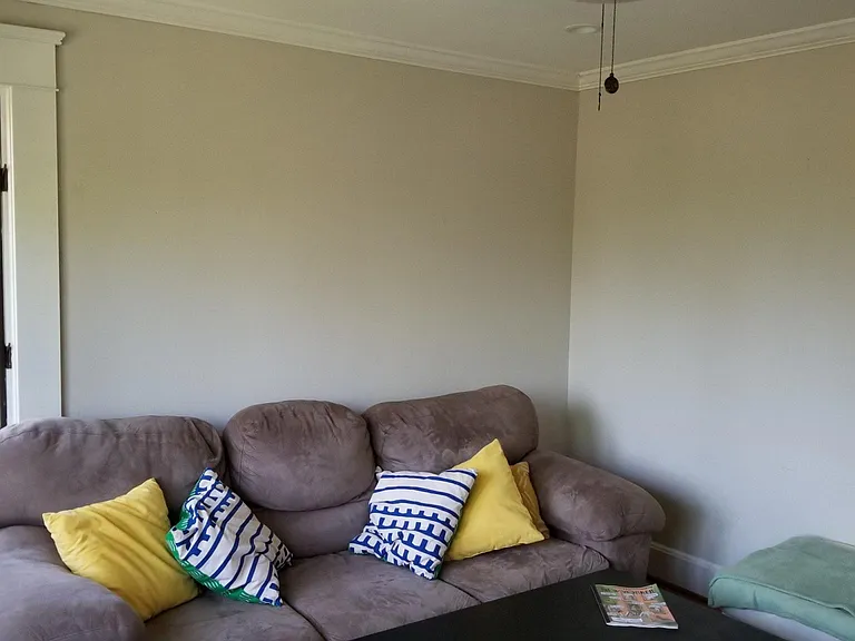 Living Room windows (Room is light grey)