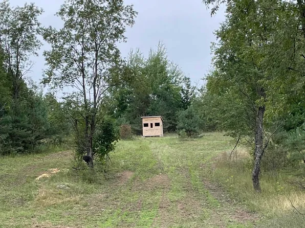 0 Peterson Rd, Mancelona, MI 49659