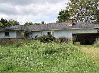 8139 Freedom Rd, Windham, OH 44288