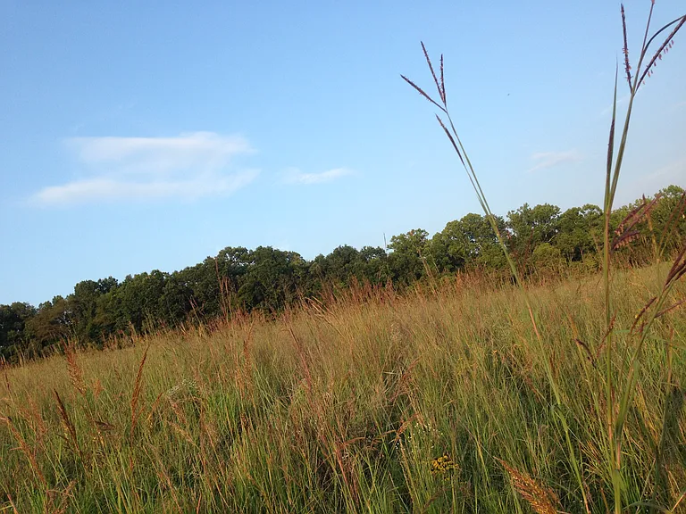 The Sanctuary at Linganore Creek — Photo 4