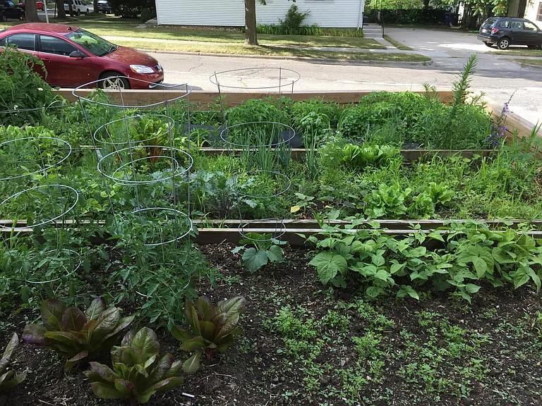 Raised-bed Garden