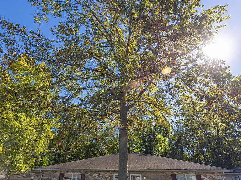1411 Clover St — Photo 19