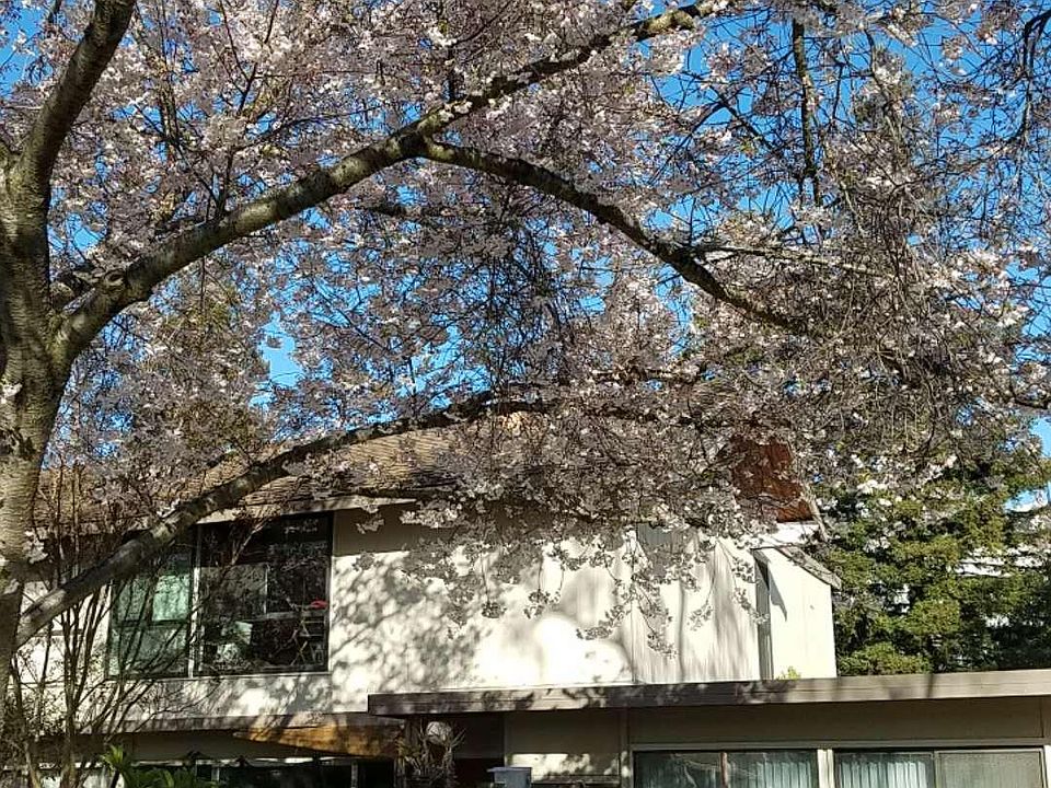 1st image of 715 Quetta Ave APT I