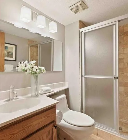 Lower level bathroom