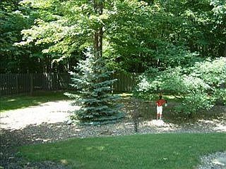 5th image of 21564 Cedar Branch Trl