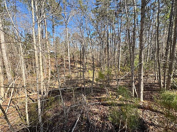 4th image of 4788 Chamberlain S Ferry Road