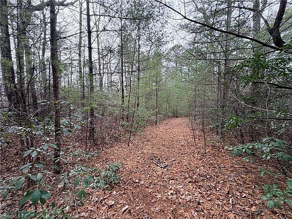 2nd image of LOT 1 Dugger Firetower Rd Lot 1