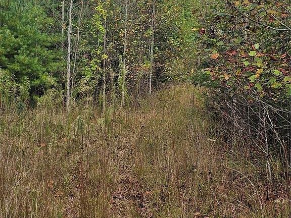 4th image of LOT 19 Dowell Ridge Cir Lot 19