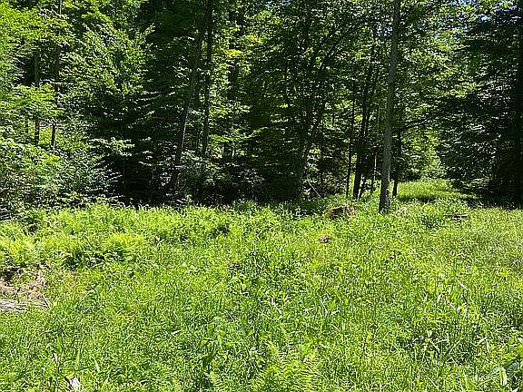 Potential home/camp site