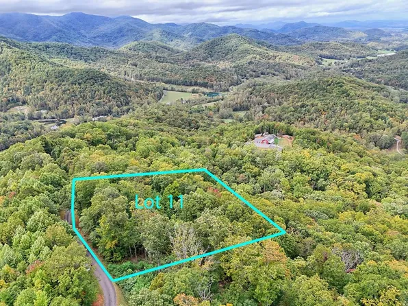 11 Skyview Dr, Hayesville, NC 28904
