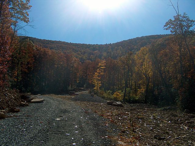 1st image of 75 Brush Mountain Farms