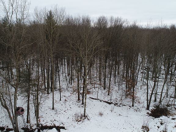 Two Blinds on Food Plot