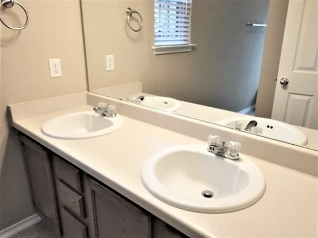 8715 Snow Goose — Photo 10