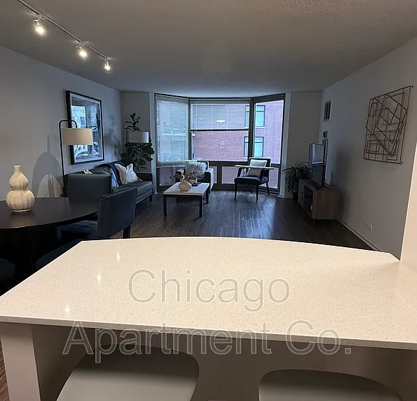 1135 N Dearborn St #402 — Photo 4