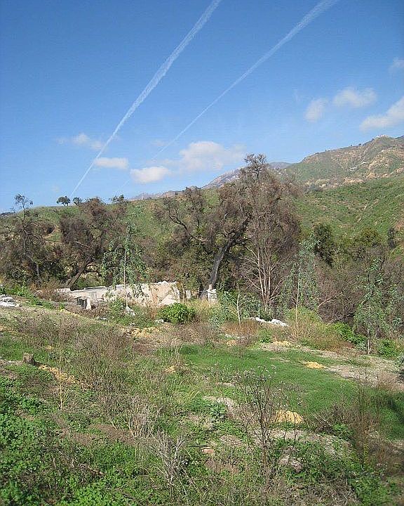 buildable lot viewing Parma Park