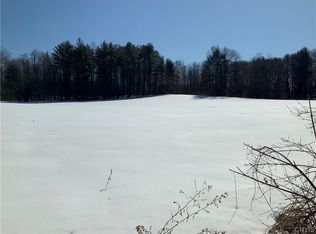 0 Hoffman Rd, Saint Johnsville, NY 13452