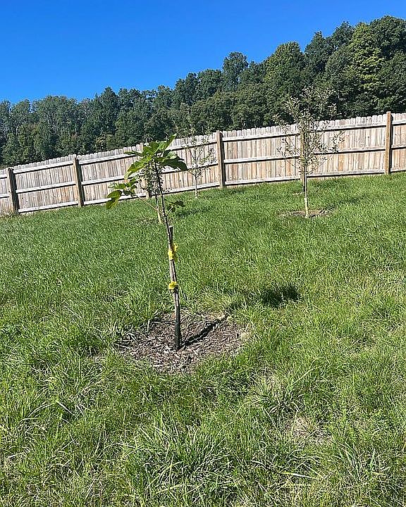 293 Brookfield Rd, Brimfield, MA 01010 Zillow