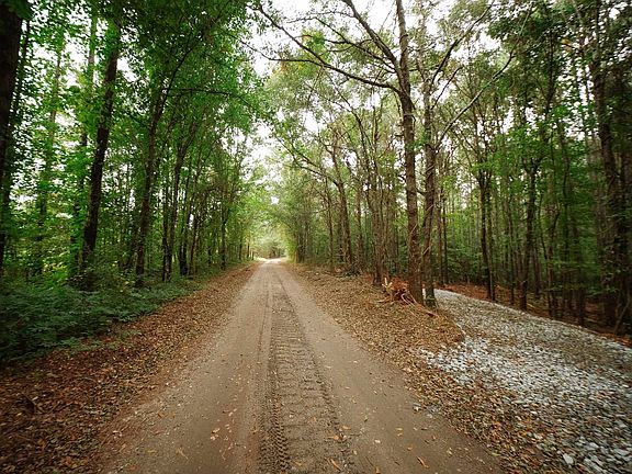 2nd image of 0 Gene Fleming Rd