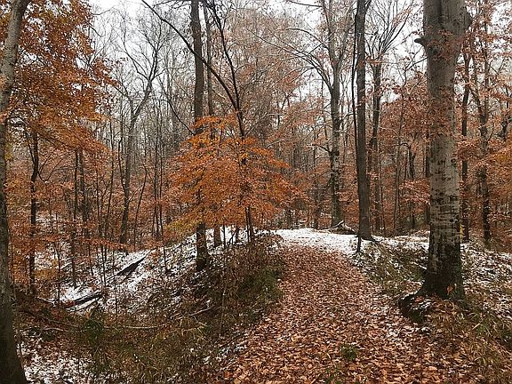 looking down to creek