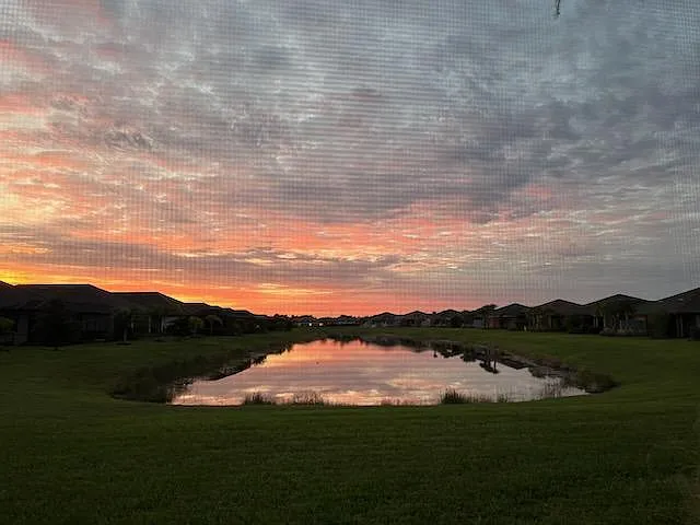 Morning sunrise.