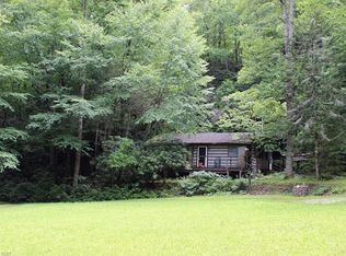 310 Old Mount Olivet Rd, Zirconia, NC 28790