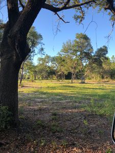 16925 NE 49th Street Rd, Silver Springs, FL, 34488