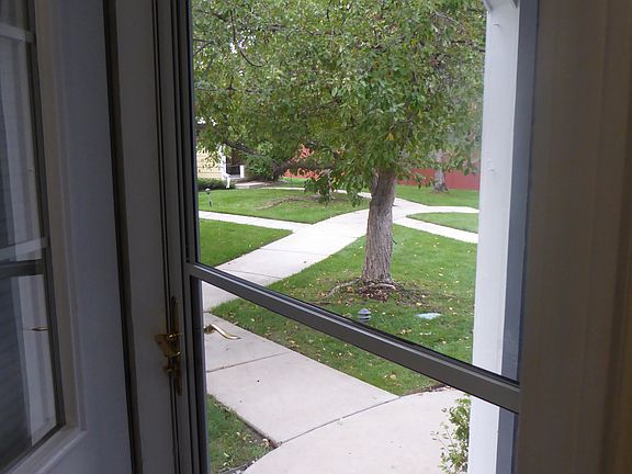 Looking out the front door