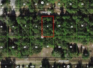2007 Milton St, Inverness, FL 34453