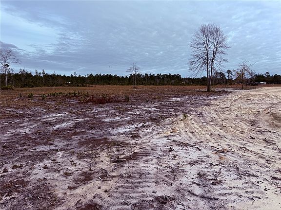 2nd image of 10 Wiregrass Ln