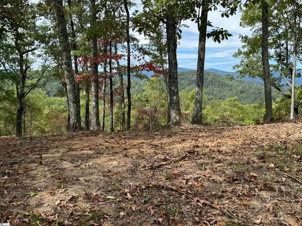 230 Blue Bonnet Trl, Marietta, SC 29661