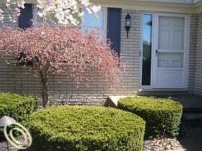 3rd image of 25176 Witherspoon St