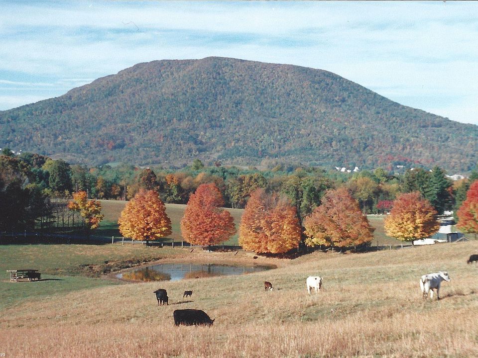 2nd image of 468 Hidden Meadow Dr