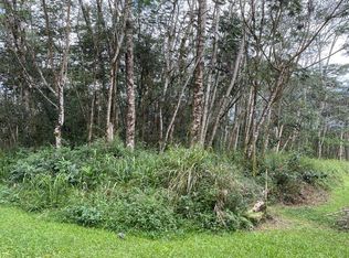 Paradise Rd LOT 293, Pahoa, HI 96778