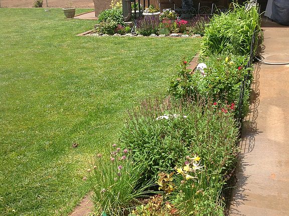 back porch, laundry window