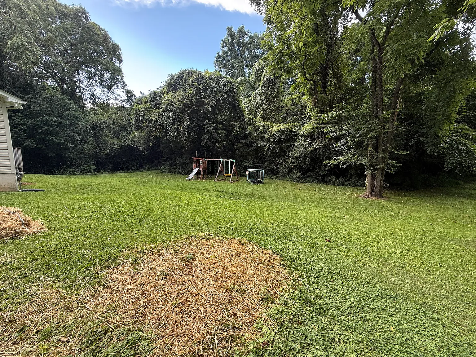 3 bed, 1340 sqft, $2,100 — Photo 2
